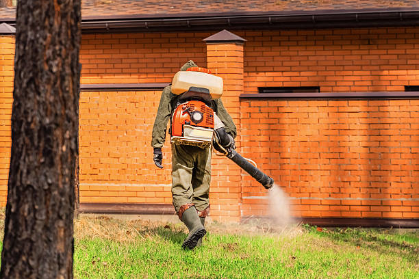 Bed Bug Clearance Verification and Documentation in Ball Pond